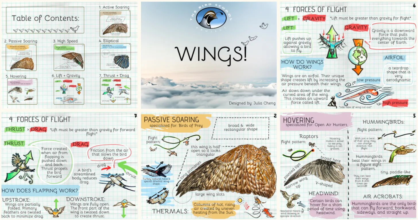 Final spread of the Wings field guide