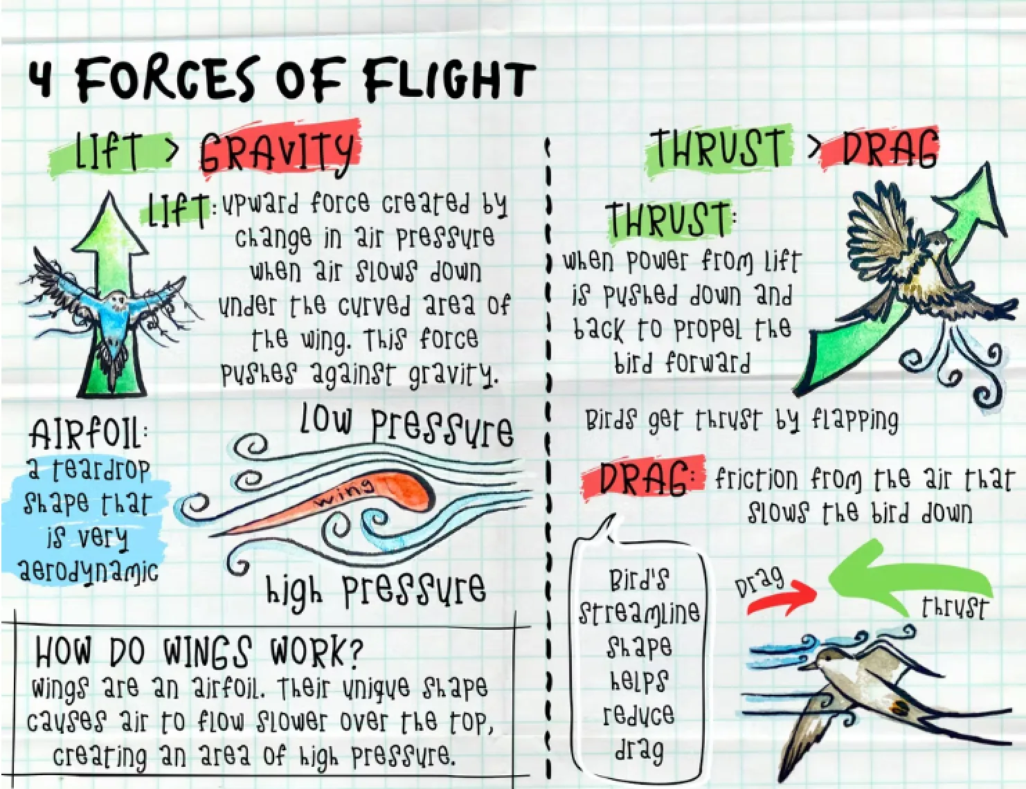 Illustrated page explaining the four forces of flight