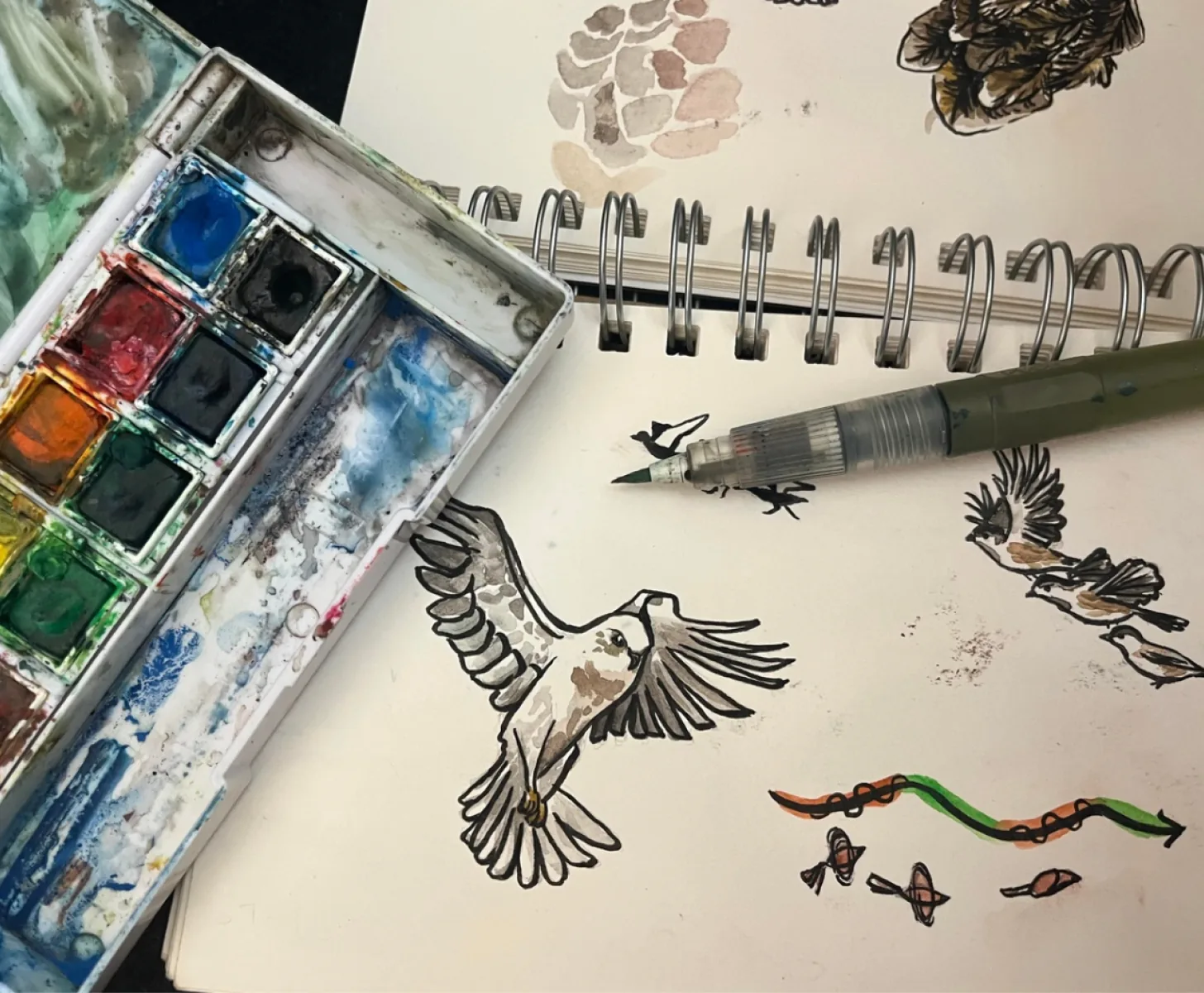 Watercolor bird sketches with a paint palette and brush pen